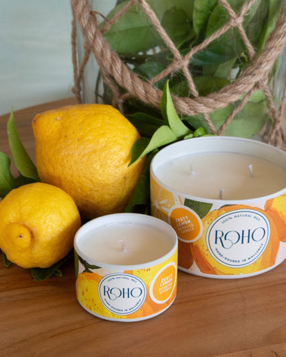 Zesty Lemon | Small - ROHO AIRDECO